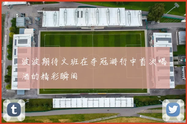 波波期待文班在夺冠游行中首次喝酒的精彩瞬间