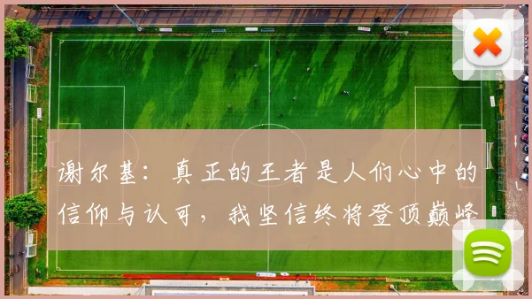 谢尔基：真正的王者是人们心中的信仰与认可，我坚信终将登顶巅峰之路