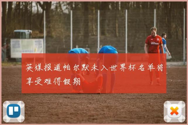 英媒报道帕尔默未入世界杯名单将享受难得假期